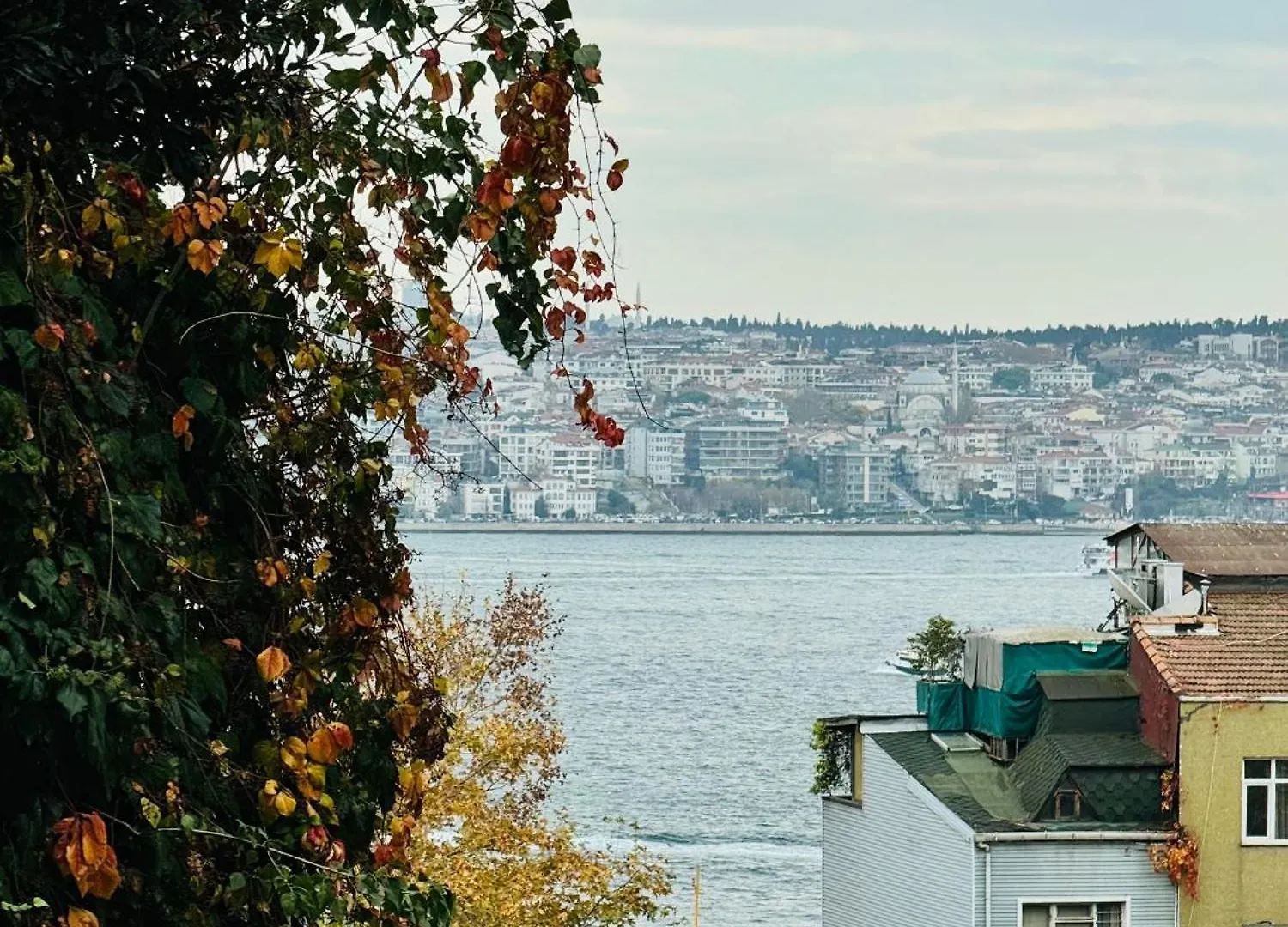 Дуплекс С Видом На Босфор Istanbul